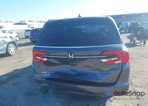 2024 Honda Odyssey Ex-L из США, поврежденный, VIN 5FNRL6H65RB048473